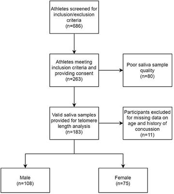 The Impact of Concussion, Sport, and Time in Season on Saliva Telomere Length in Healthy Athletes